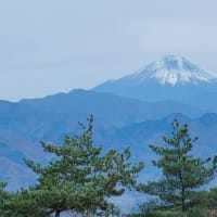 登山ガイドと行く富士見ハイク 生藤山 2