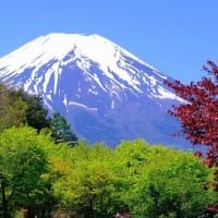 春の霊峰富士（5/14 m）