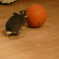 GWはおとなしく