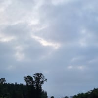 朝空