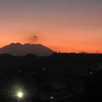 2024年09月07日(土)　爽やかな空、大晴天です 　