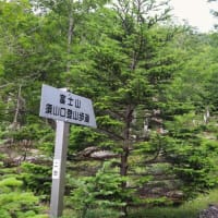 富士山自然休養林ハイキング♪