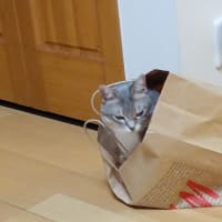 風邪