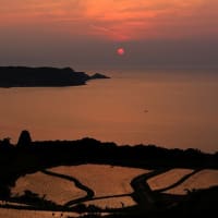 鯉流しショットに初挑戦～。