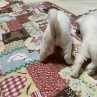 2人生活