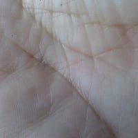 神秘十字線があった！