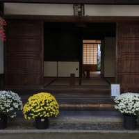 紅葉その２、足守近水公園、侍屋敷あたり
