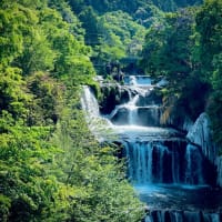 水の綺麗な遠い場所。