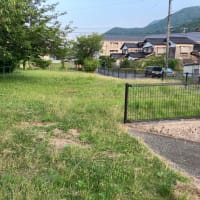 町内一斉清掃2025