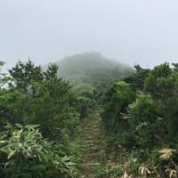 中丸山コース　熊野ピストン