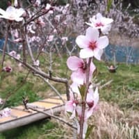 東北支援3・11