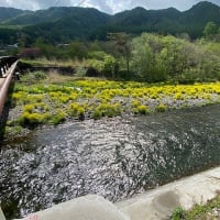 気温上がっています