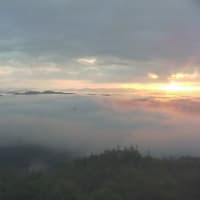 雨上がりの霧の海