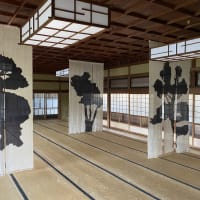 外国人から見た日本。目的地は岡山県真庭市！