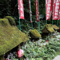 ひとり倶楽部活動開始！猛暑だけど佐助稲荷神社に御参り！