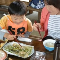 4月27日(日)「わくわく外遊びデー」は『山菜天ぷら』要予約！！