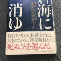 門田隆将「蒼海に消ゆ」にわたしを向かさせたもの