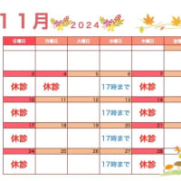 11月の診療案内