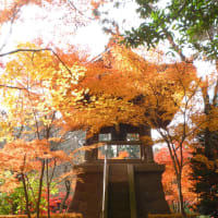 埼玉県新座市平林寺