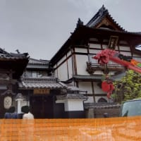 戸隠神社中社と善光寺2024.5.19