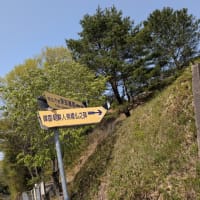 天下台山　2025.4.19　「22」