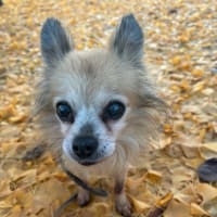 龍くん、14歳になりました🎉