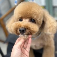 ご報告とお詫び