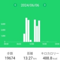 円山に登りました（29回目）