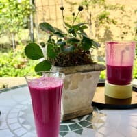 夏至を迎え　〜 健康コーラス＋α 〜
