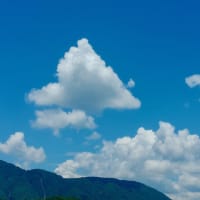 ２０２５年７月１３日　ho散歩　安佐北区