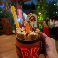 USJ⭐︎夜ユニバ楽しんできました♪