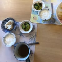 夏野菜の収穫です❤️