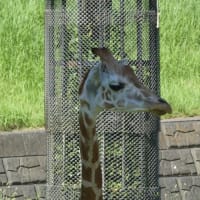 動物園