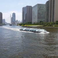 梅雨の晴れ間に通院する。