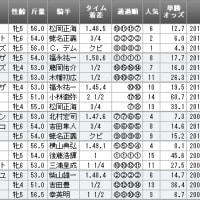 【過去傾向】中日新聞杯・中山牝馬S・Ｆレビュー（2014年）