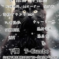 2024-02-17（土）　山口／下関　T-Gumbo