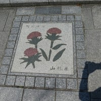 皇居歩道を散歩・・・見つけた県名表示の花ブロック