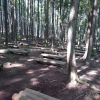 三ヶ月分の山行記録。