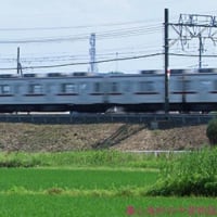 電車走る風景　蒼苗の先に