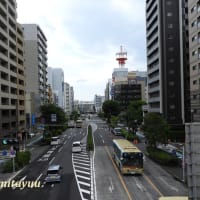 平塚市唯一の旅客駅「平塚駅」を撮る！！