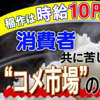 稲作は時給換算10円？消費者・生産者共に苦しむ“コメ市場”の実態に迫る【ザ・ファクト】