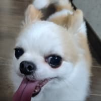 りの君と初めての外貨両替 エト・セトラ