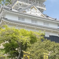 治療3年目は，山城へ(お城の旅日記)