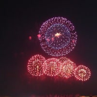 万博会場の花火を撮って来たので送りますよ！-------　ともちゃんからの画像投稿です。