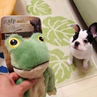 カートから落下！