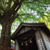 【京都発幕間旅情】熊本手取天満宮,大火内戦大戦越え火除信仰と共に熊本市中心ビル群に憩う