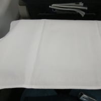 ベトナム航空で乗継ぎシンガポールへ　③ＶＮ６６０シンガポール→ハノイ