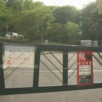 今度は旭山記念公園に