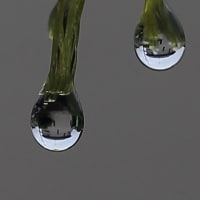 雨滴ー３