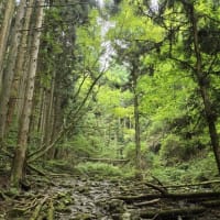 秋の行楽シーズン♪